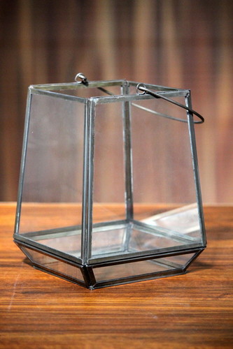 Terrarium