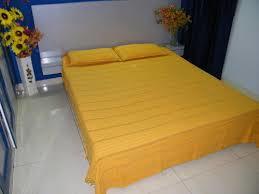 Haider Net (size 90x100 inches)