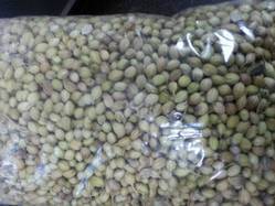 Coriander seed