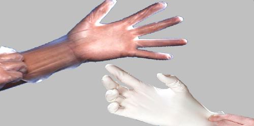 Vinyl Glove