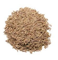 Cumin seeds