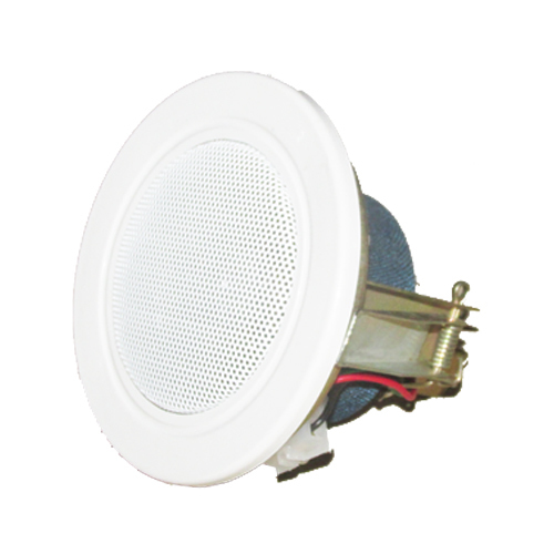 Ceiling Speaker