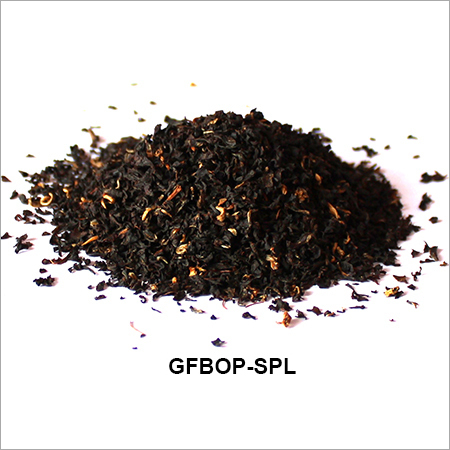 GFBOP - Fresh Black Tea | Relaxing, No Sugar, Plain Variety, Golden Flowery Broken Orange Pekoe