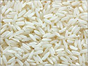 Rice Grain