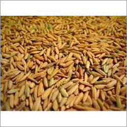 Organic Parmal Paddy