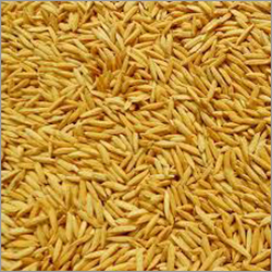 Organic Rice