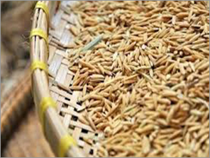 Organic Rice