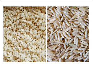 Organic Type-3 Basmati Rice