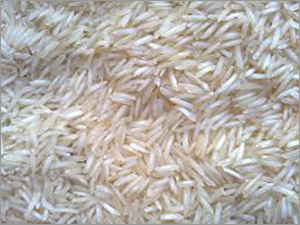 1121 Steamed Rice