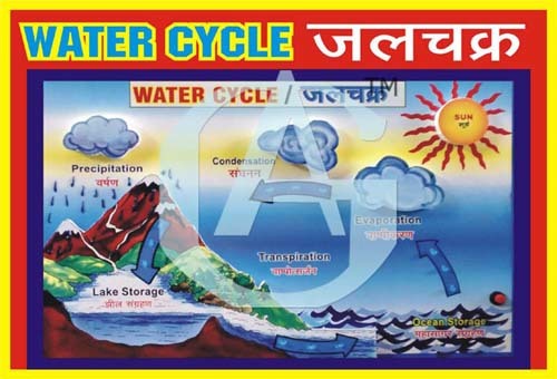 MODEL OF WATER CYCLE CHINESE