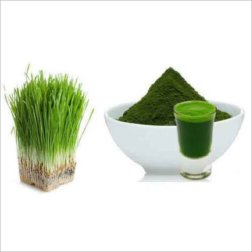 Pure Wheatgrass Powder