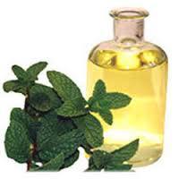 Mentha Oil Age Group: All Age Group