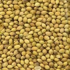 Corriender Seeds