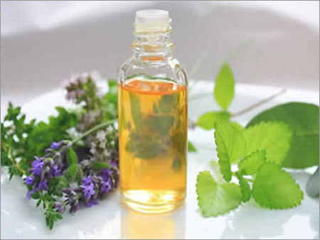 Menthol Oil