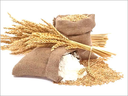 Wheat Flour