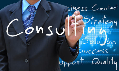 Business Consulting Service By PRAGYNA CONSULTANCY SERVICES