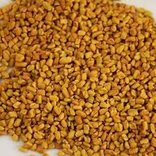 Fenugreek Seeds