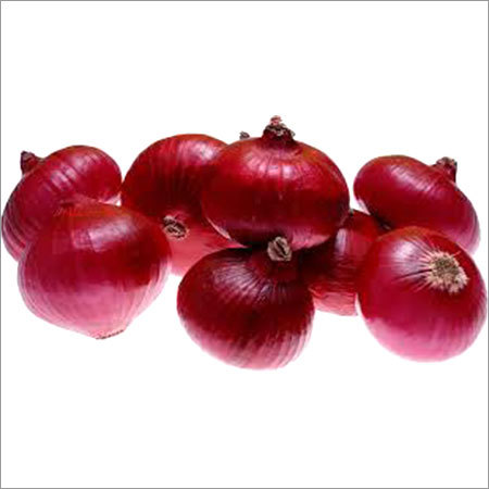 Fresh Red Onion