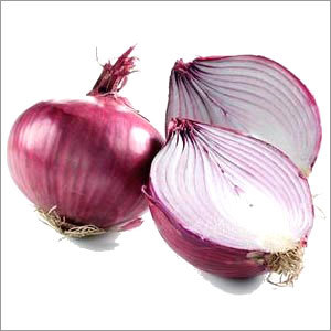 Fresh Onion