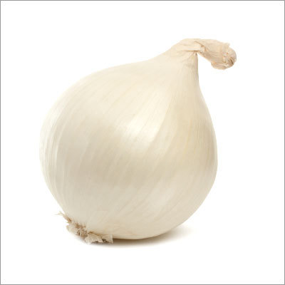 White Onion