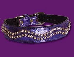 Sunshine Clear Crystal Baby Dog Collar