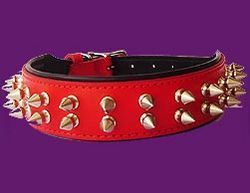 Spike Dog Collar