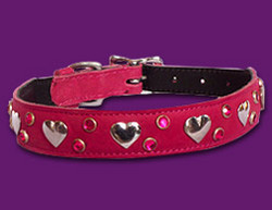 Heart Gems Puppy Dog Collar