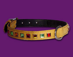 Square Gems Puppy Dog Collar