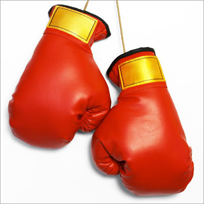 Punching Gloves