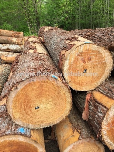 SPF Spruce Pine Fir