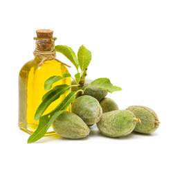Massage Oil