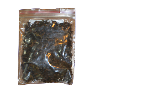 TEMI TEA
