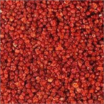 Gloriosa Superba Seeds