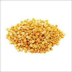 Gram Pulses