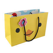 Designer Laminated Paper Bags