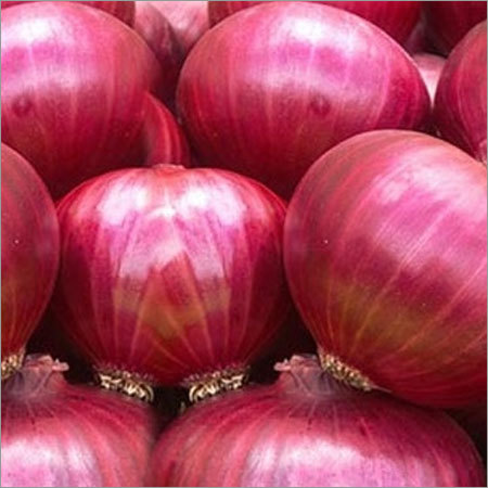 Fresh Onion