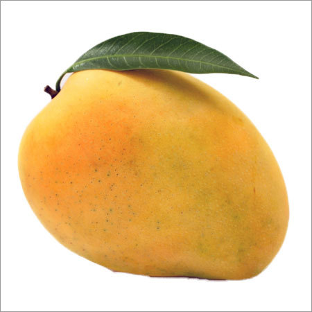Fresh Mango