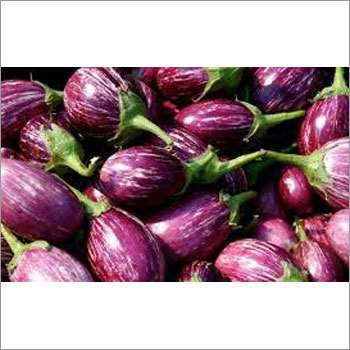 Fresh Brinjal