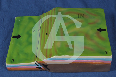 REVERSE FAULT - Fibre 25 x 35 Cm Green | Durable Build, Visual Aid, Educational Tool