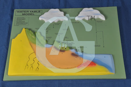 WATER TABLE MODEL