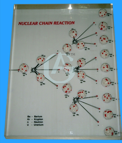 DEMONSTRATIONAL ACRYLIC MODELS