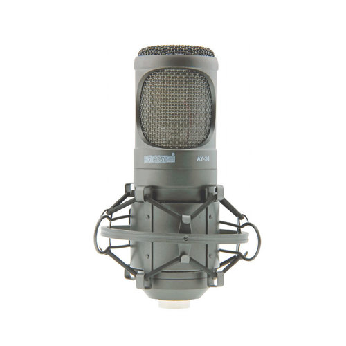 Recording Microphone