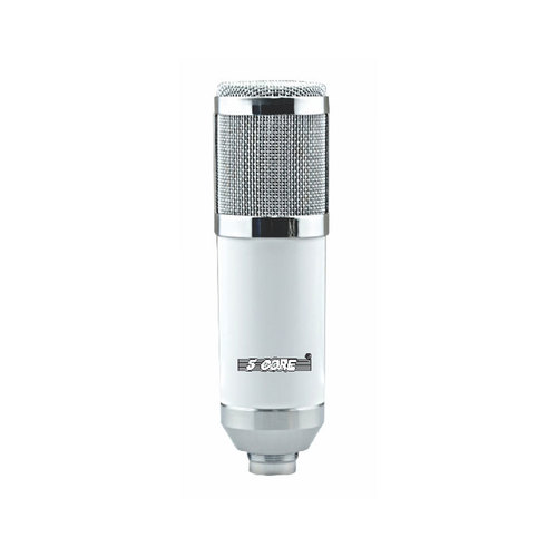 Studio Recording Microphone
