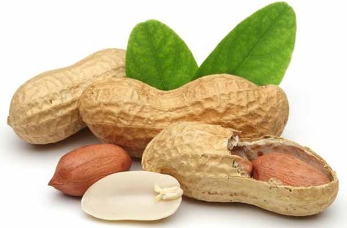Raw Peanuts Raw Peanuts