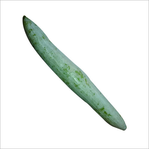 Snake Gourd By PRAVEEN IMPORTS AND EXPORTS