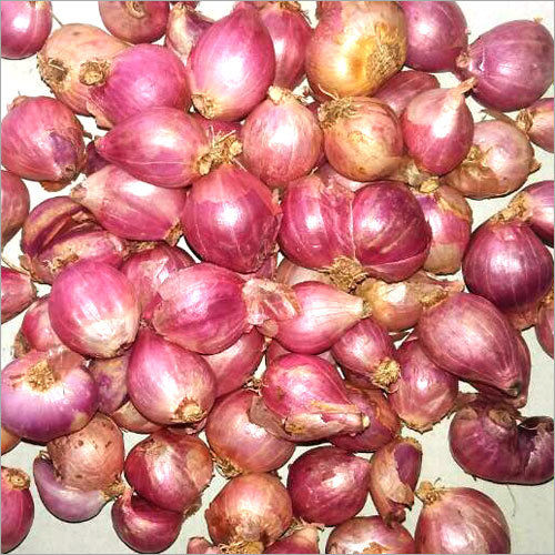 Fresh Small Onion