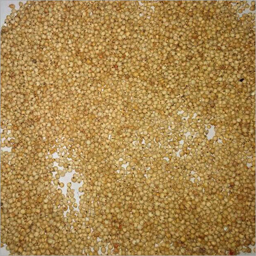 White Sorghum