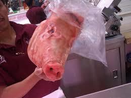 Frozen Pork heads