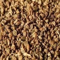 Celery Seeds