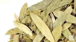 Senna Leaves